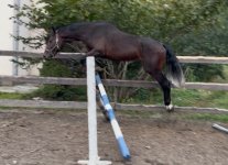 IMG_6676.jpeg