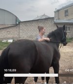 IMG_4581.jpeg