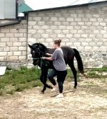 IMG_4584.jpeg