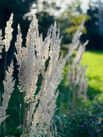 IMG_3127.jpeg