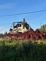 IMG_3118.jpeg