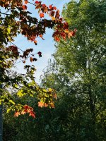 IMG_3117.jpeg