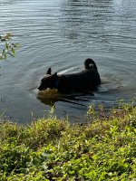 IMG_3112.jpeg