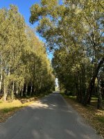 IMG_3107.jpeg