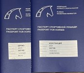 IMG_6823.jpeg