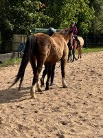 IMG_3069.jpeg