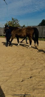 IMG_3074.jpeg