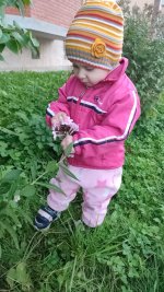 IMG-20250917-WA0029.jpeg