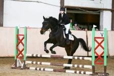 7831ff17-3c84-4b23-8f66-c0b7ed59dbb1.webp