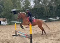 VWEEQYlh4LZxoHKCcH2GeGeRJohRguAG9f0hDsAG3l2eTszwvR2o0AvDymsjbkDhnrMvVP0Wa_0Pu9-ZaRRGT-ky.jpg