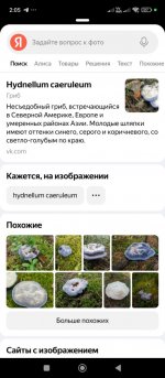 Screenshot_2025-09-19-02-05-19-035_com.yandex.browser.jpg