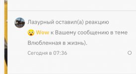 IMG_1649.jpeg