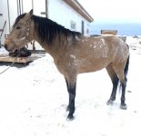 IMG_7162.jpeg