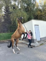IMG_7112.jpeg