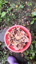 IMG-20250921-WA0032.jpeg