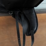 IMG_2033.jpeg
