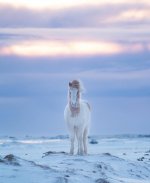 IMG_4370.jpeg