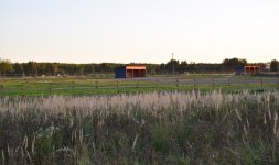 IMG_4790.jpg