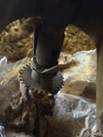 2WhatsApp Image 2025-09-23 at 19.54.22.jpeg