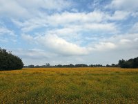 IMG_2004.jpeg