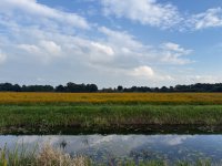 IMG_2005.jpeg