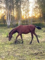 WhatsApp Image 2025-09-26 at 13.04.20.jpeg