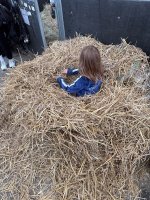 IMG_4938.jpeg