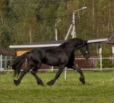 IMG_7057.jpeg