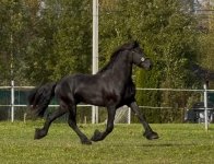 IMG_7056.jpeg