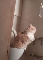 Снимок.PNG