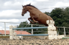 Снимок экрана 2025-10-04 в 18.35.04.png