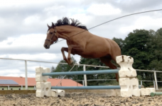 Снимок экрана 2025-10-04 в 18.35.29.png