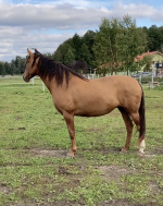 Снимок экрана 2025-10-04 в 19.19.32.png