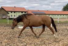 photo_2025-10-05 21.10.51.jpeg