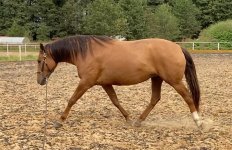 photo_2025-10-05 21.11.02.jpeg