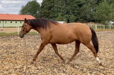 photo_2025-10-05 21.10.55.jpeg