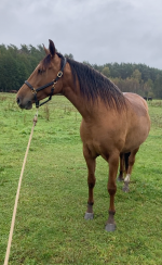 Снимок экрана 2025-10-15 в 00.06.03.png