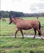 photo_2025-10-15 00.21.06.jpeg