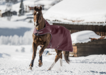 Снимок экрана 2025-10-16 в 00.38.50.png