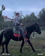 IMG_5522.jpeg
