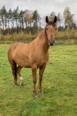 photo_2025-10-16 23.58.33.jpeg