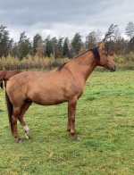 photo_2025-10-16 23.58.51.jpeg