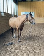 photo_2025-10-16 23.59.06.jpeg