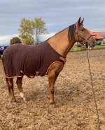 photo_2025-10-16 23.58.56.jpeg