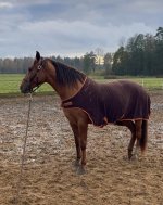 photo_2025-10-16 23.58.59.jpeg