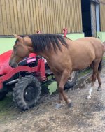 photo_2025-10-16 23.59.04.jpeg