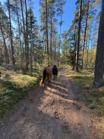 WhatsApp Image 2025-10-18 at 14.11.27 (1).jpeg