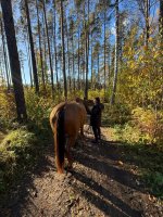 WhatsApp Image 2025-10-18 at 15.13.57.jpeg