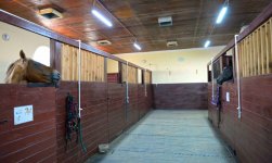 IMG_7084.jpeg