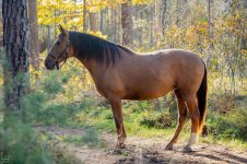 IMG_1097-Улучшено-Ум. шума.jpg